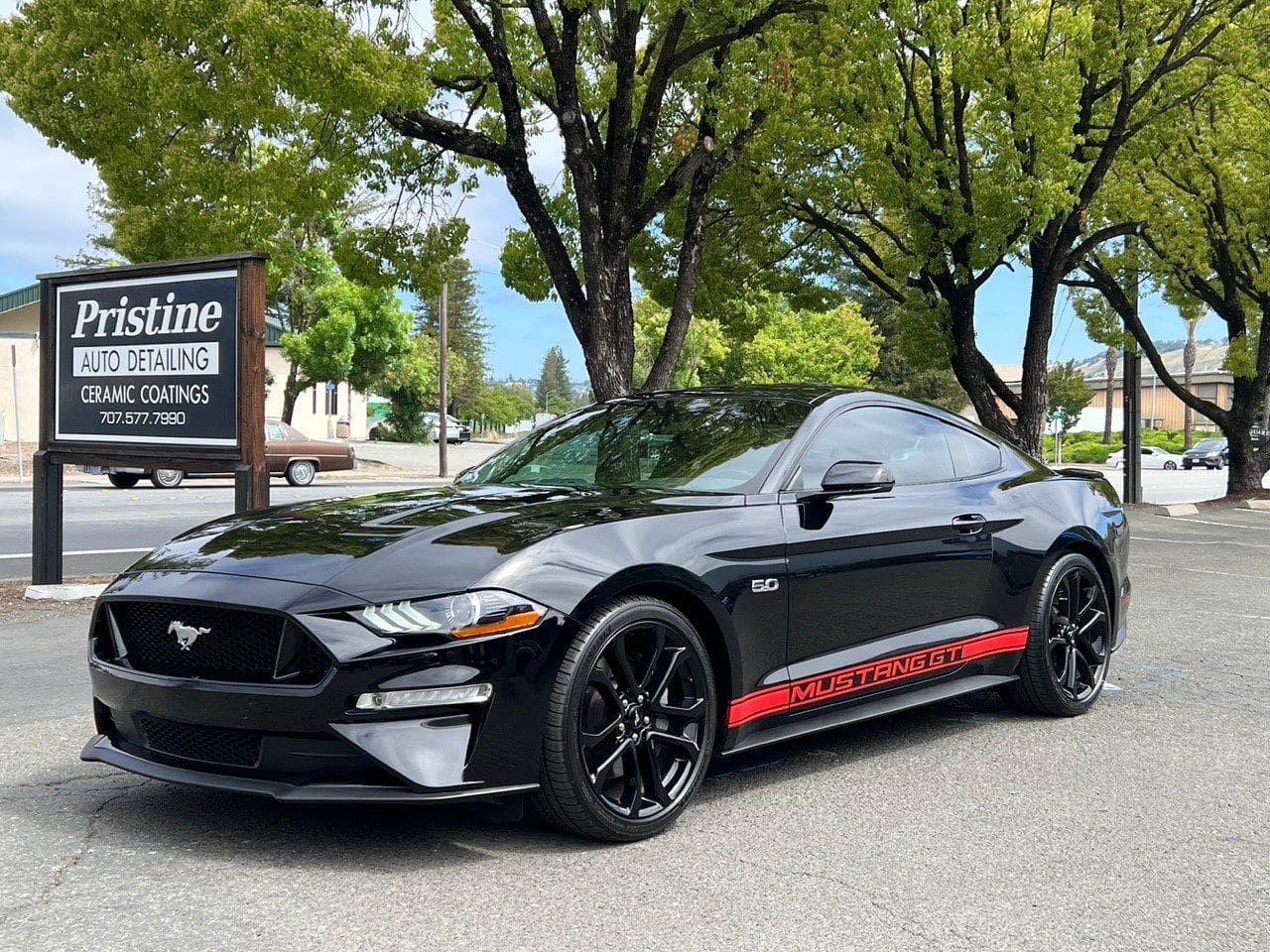 Black Ford Mustang GT parked under trees